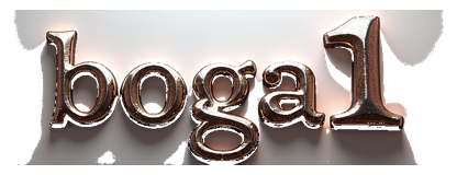 boga1 logo